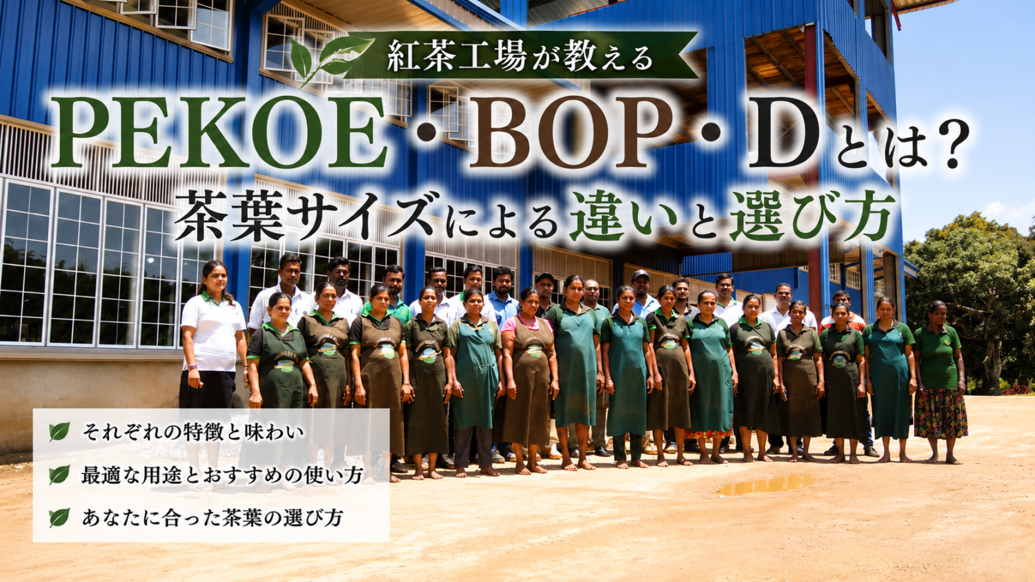 PEKOE・BOP・Dとは？紅茶工場が教える茶葉サイズによる違いと選び方