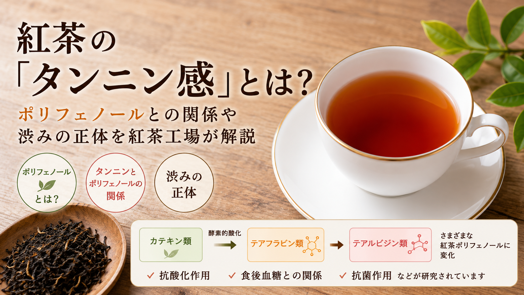 紅茶のタンニン感とは？ポリフェノールとの関係や渋みの正体について説明しているイメージ