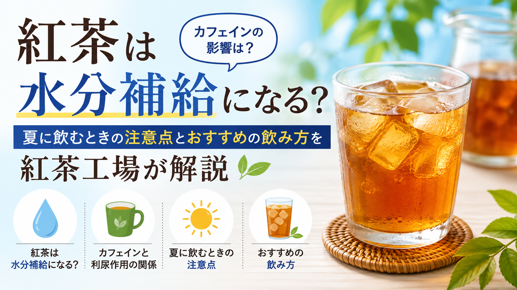 紅茶は水分補給になる？夏に飲むときの注意点とおすすめの飲み方を紅茶工場が解説