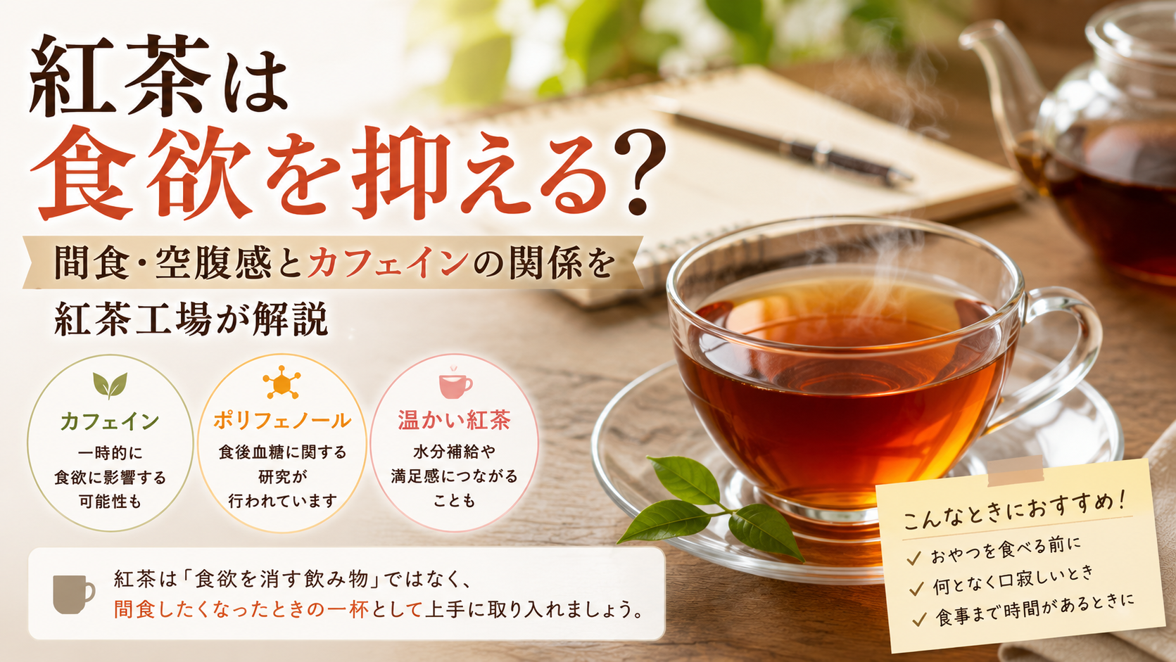 紅茶は食欲を抑える？間食・空腹感とカフェインの関係を紅茶工場が解説